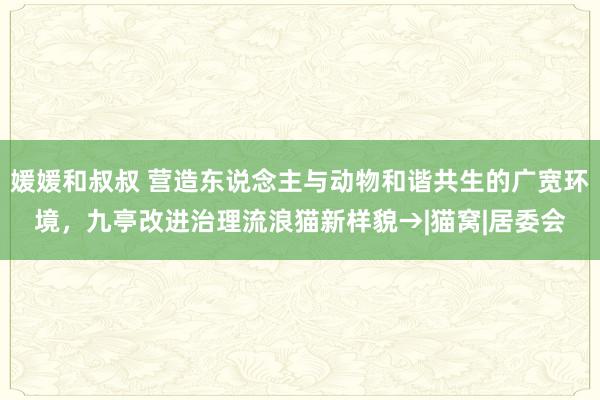 媛媛和叔叔 营造东说念主与动物和谐共生的广宽环境，九亭改进治理流浪猫新样貌→|猫窝|居委会
