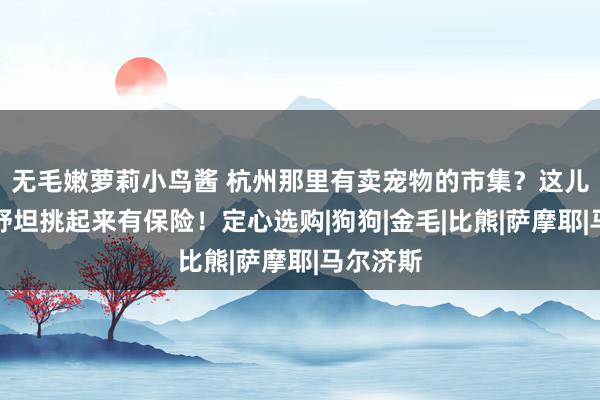 无毛嫩萝莉小鸟酱 杭州那里有卖宠物的市集？这儿买起来舒坦挑起来有保险！定心选购|狗狗|金毛|比熊|萨摩耶|马尔济斯