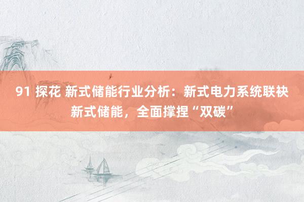 91 探花 新式储能行业分析：新式电力系统联袂新式储能，全面撑捏“双碳”
