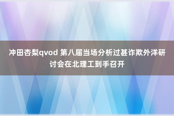 冲田杏梨qvod 第八届当场分析过甚诈欺外洋研讨会在北理工到手召开