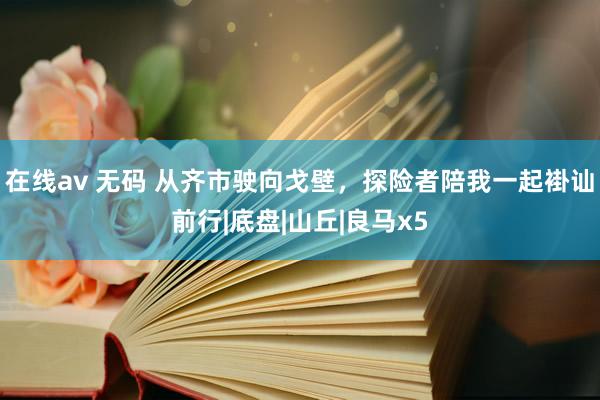 在线av 无码 从齐市驶向戈壁，探险者陪我一起褂讪前行|底盘|山丘|良马x5
