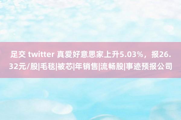足交 twitter 真爱好意思家上升5.03%，报26.32元/股|毛毯|被芯|年销售|流畅股|事迹预报公司