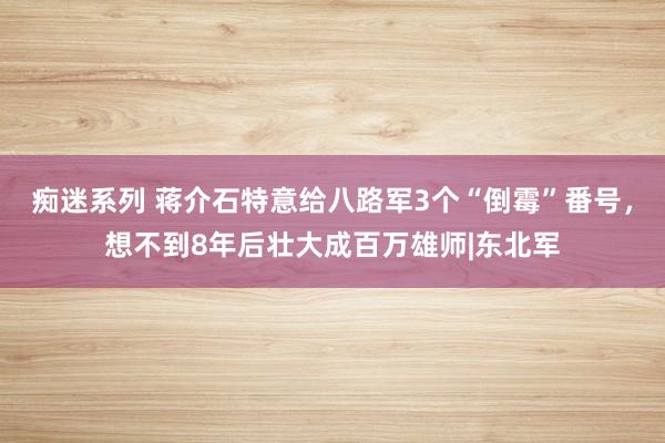 痴迷系列 蒋介石特意给八路军3个“倒霉”番号，想不到8年后壮大成百万雄师|东北军