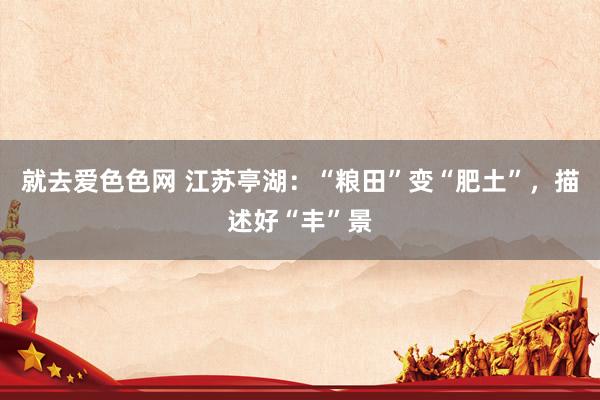 就去爱色色网 江苏亭湖：“粮田”变“肥土”，描述好“丰”景