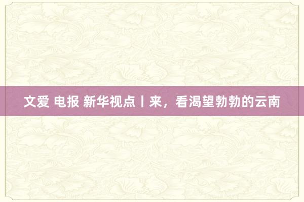 文爱 电报 新华视点丨来，看渴望勃勃的云南