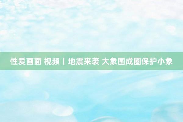 性爱画面 视频丨地震来袭 大象围成圈保护小象