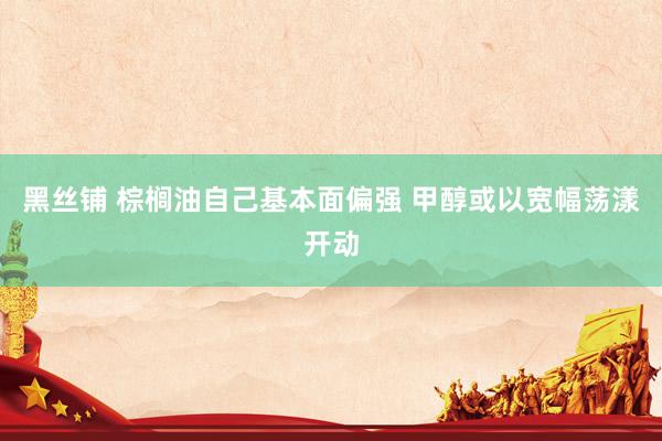 黑丝铺 棕榈油自己基本面偏强 甲醇或以宽幅荡漾开动