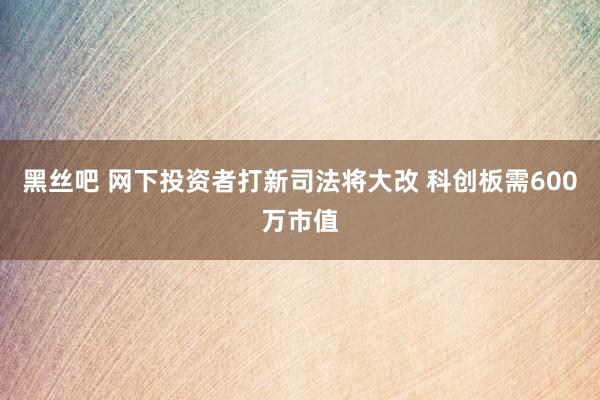 黑丝吧 网下投资者打新司法将大改 科创板需600万市值