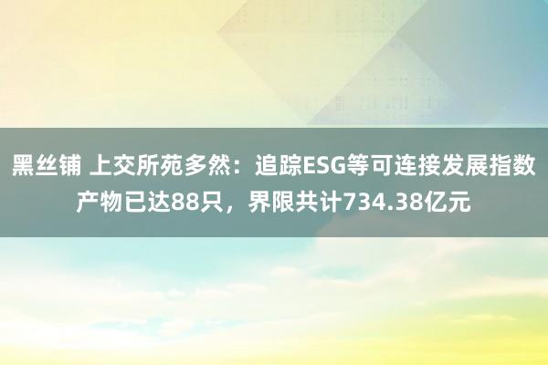 黑丝铺 上交所苑多然：追踪ESG等可连接发展指数产物已达88只，界限共计734.38亿元
