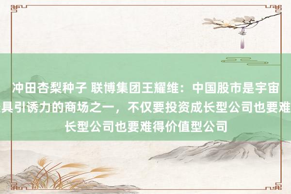 冲田杏梨种子 联博集团王耀维：中国股市是宇宙上最低廉、最具引诱力的商场之一，不仅要投资成长型公司也要难得价值型公司