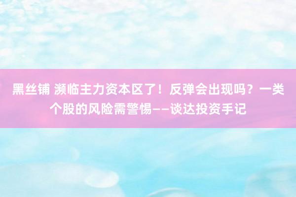 黑丝铺 濒临主力资本区了！反弹会出现吗？一类个股的风险需警惕——谈达投资手记