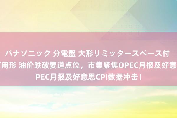 パナソニック 分電盤 大形リミッタースペース付 露出・半埋込両用形 油价跌破要道点位，市集聚焦OPEC月报及好意思CPI数据冲击！