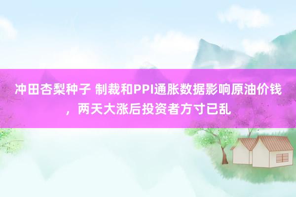 冲田杏梨种子 制裁和PPI通胀数据影响原油价钱，两天大涨后投资者方寸已乱