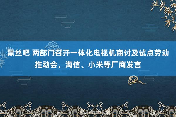 黑丝吧 两部门召开一体化电视机商讨及试点劳动推动会，海信、小米等厂商发言